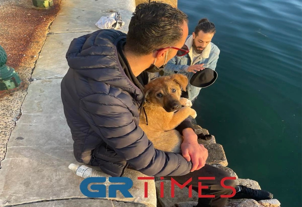 Θεσσαλονίκη: Βούτηξε στον Θερμαϊκό για να σώσει σκυλάκι! (ΦΩΤΟ-VIDEO)