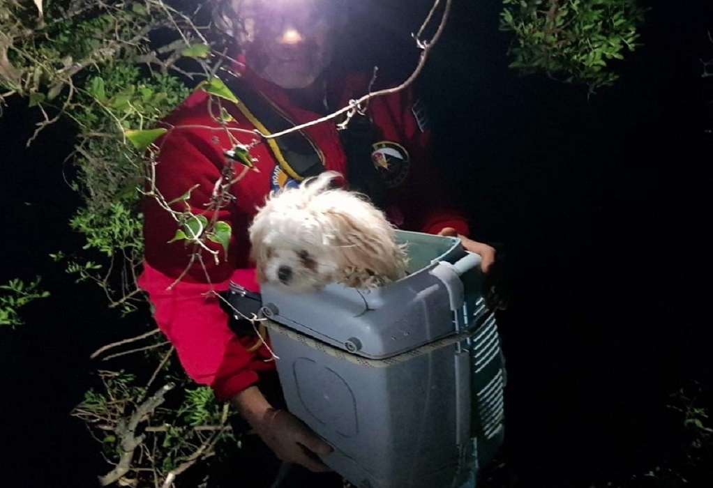 Κέρκυρα: Διέσωσαν σκυλί από γκρεμό 30 μέτρων (ΦΩΤΟ)