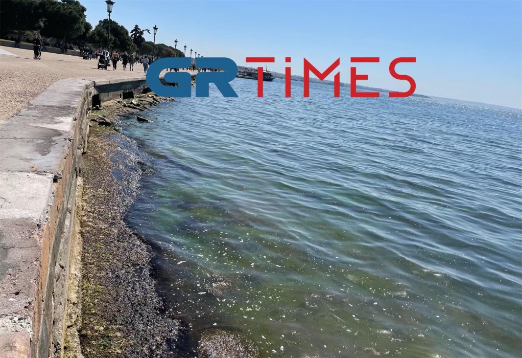 Θεσσαλονίκη: Η άμπωτη «ρούφηξε» και τη στάθμη του Θερμαϊκού (ΦΩΤΟ-VIDEO)