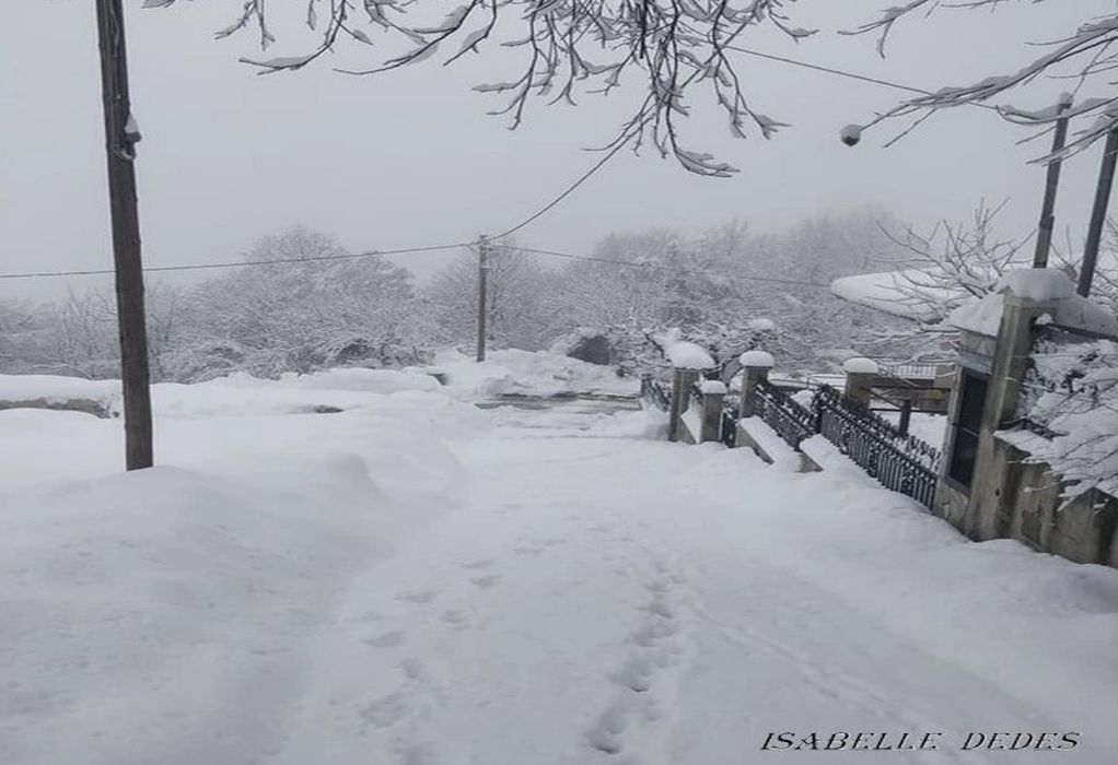 Καστανιά Ημαθίας: Προβλήματα από τον χιονιά καταγγέλλουν οι κάτοικοι-«Θα καθαριστούν οι δρόμοι», λέει ο δήμαρχος