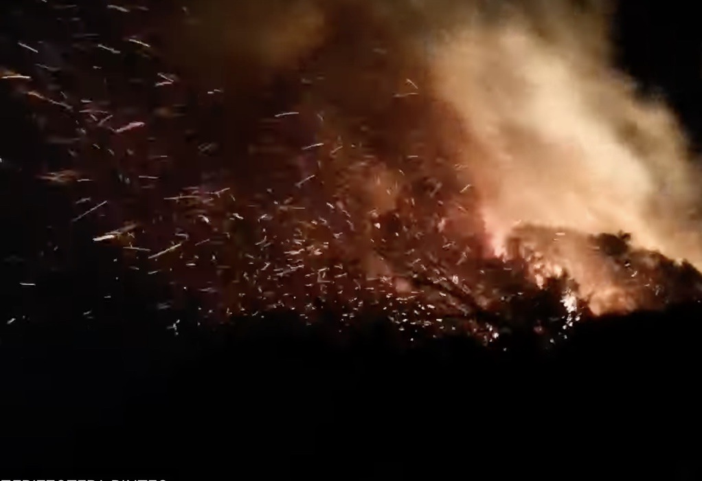 Zάκυνθος: Δύο φωτιές τώρα σε Έξω Χώρα και Μαρίες – 9 μποφόρ στην περιοχή (VIDEO)