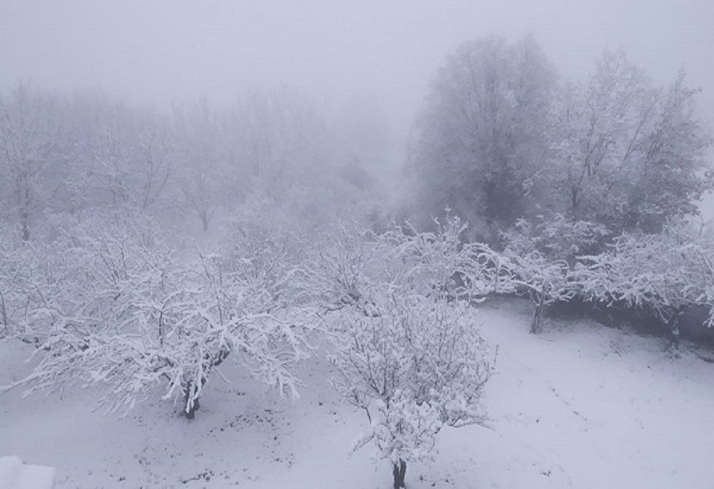 Κακοκαιρία «Μπάρμπαρα»: Σφοδρή χιονόπτωση σε όλη τη Μαγνησία – Μάχη να κρατηθούν ανοιχτοί οι δρόμοι
