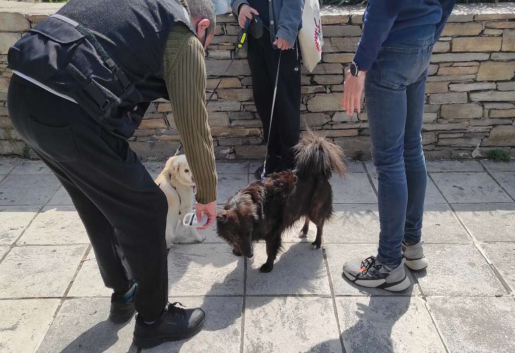 Θεσσαλονίκη: Έλεγχοι σε ιδιοκτήτες ζώων – Εννέα πρόστιμα για βόλτα σκύλου χωρίς λουρί