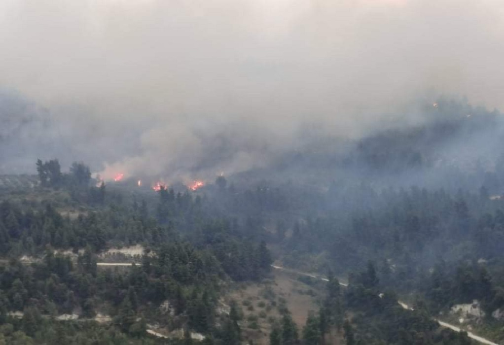 Πυρκαγιά σε δασική έκταση στο Λεόντιο της Νεμέας
