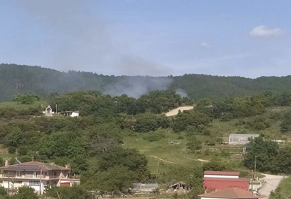 Χαλκιδική: Πυρκαγιά στην περιοχή Στανός-Επιχειρούν δύο αεροσκάφη