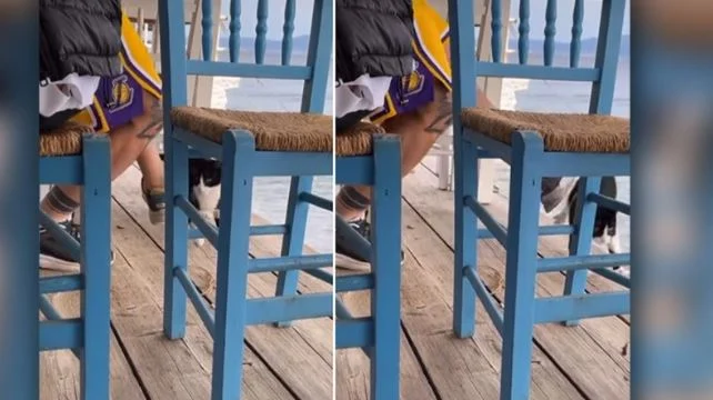 Δίωξη για πλημμέλημα στον 30χρονο που κλώτσησε το γατάκι στην Αιδηψό (VIDEO)