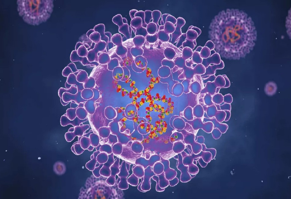 Ευλογιά των πιθήκων: Τί γνωρίζουμε έως τώρα για τον ιό – Πώς μεταδίδεται και ποιοι οι τρόποι πρόληψης και θεραπείας