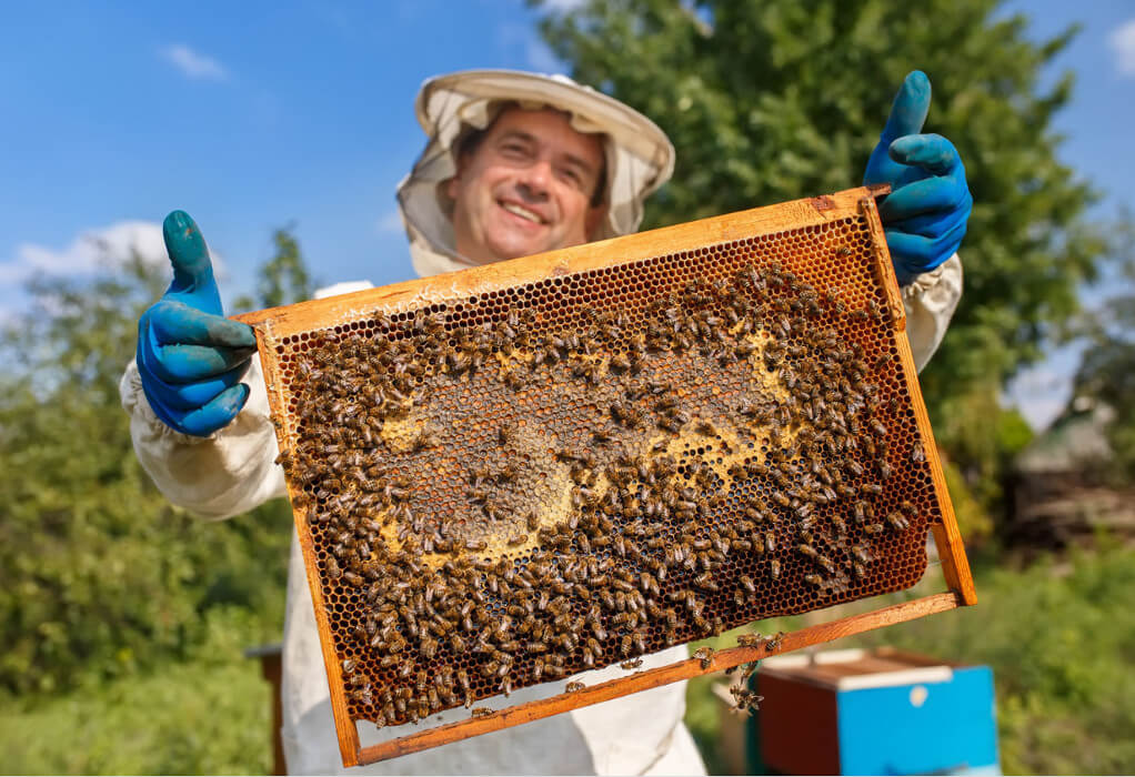 Ο “γλυκός” αγώνας του μελισσοκόμου-Ανάπτυξη σε αντίξοοες συνθήκες