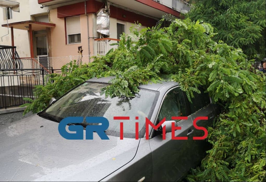 Θεσσαλονίκη: Πτώσεις δέντρων λόγω της καταιγίδας-Ποτάμια οι δρόμοι (ΦΩΤΟ-VIDEO)