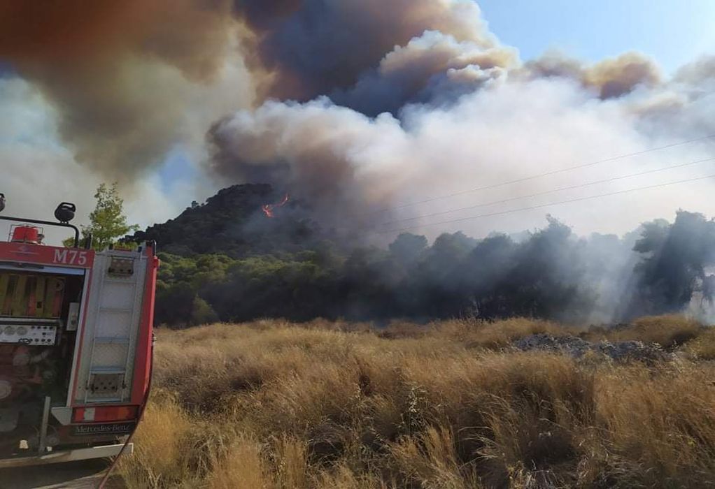 Πολύ υψηλός κίνδυνος πυρκαγιάς για σήμερα Τετάρτη σε πέντε Περιφέρειες (ΧΑΡΤΗΣ)