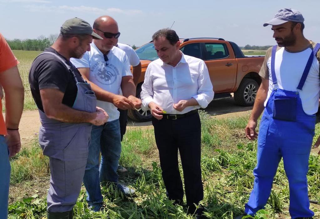 Γεωργαντάς: «Η κυβέρνηση θα σταθεί δίπλα στους αγρότες – Οι ζημιές θα αντιμετωπιστούν μέσω του ΕΛΓΑ»