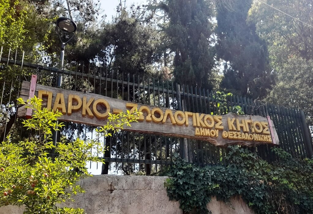 Θεσσαλονίκη: Ανάσες δροσιάς στο πάρκο του ζωολογικού κήπου – Ανοίγει τις πύλες του από αύριο (ΦΩΤΟ)