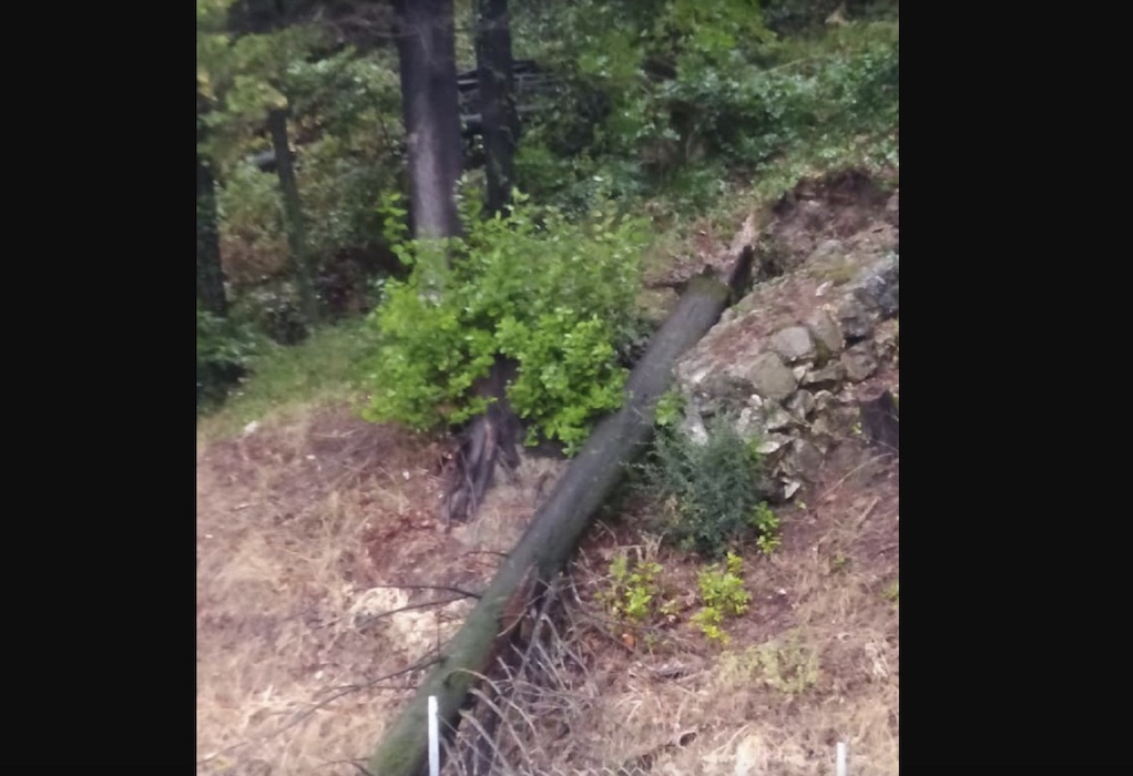 Κόσοβο: Θυελλώδεις άνεμοι ξερίζωσαν δέντρα – Ένας νεκρός