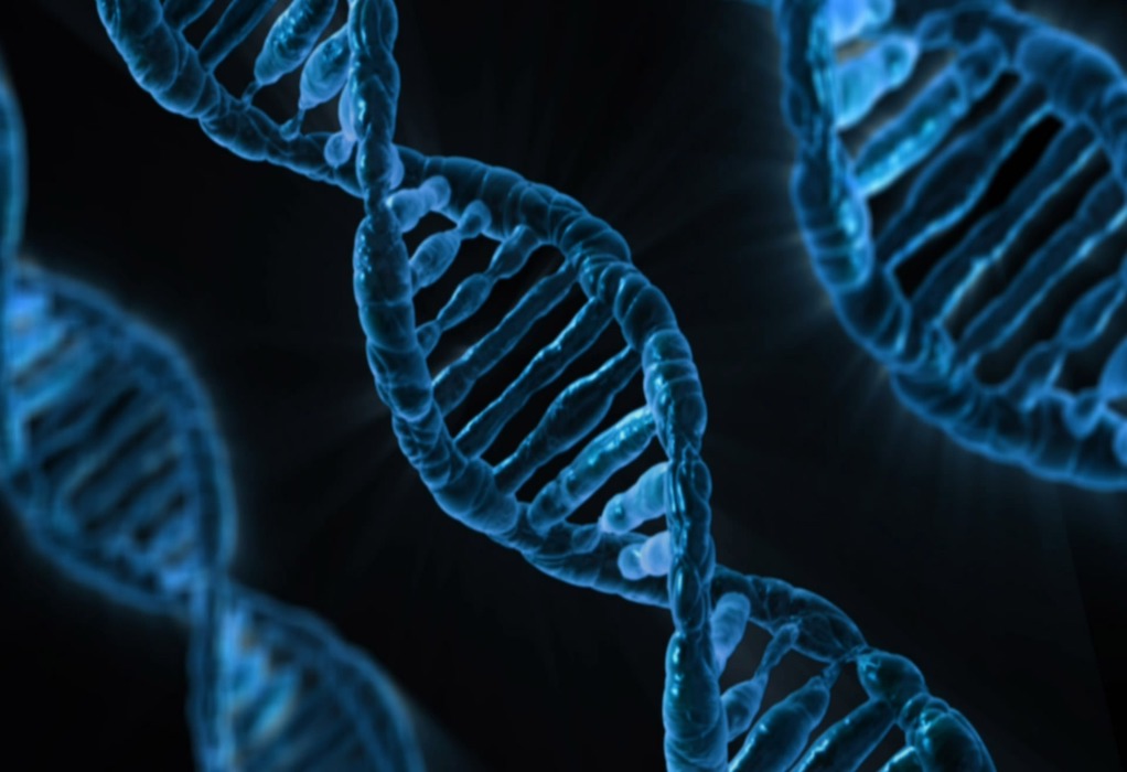 Prime editing: Η νέα τεχνολογία γενετικής επεξεργασίας είναι ήδη εδώ (VIDEO)