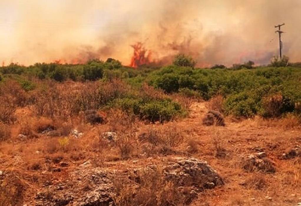 Υψηλός κίνδυνος πυρκαγιάς για την Παρασκευή – Ποιες περιοχές θα είναι στο «κίτρινο»