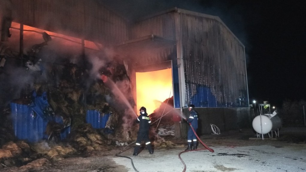 Βοιωτία: “Στάχτη” έγινε αποθήκη με ζωοτροφές μετά από μεγάλη πυρκαγιά (VIDEO-ΦΩΤΟ)