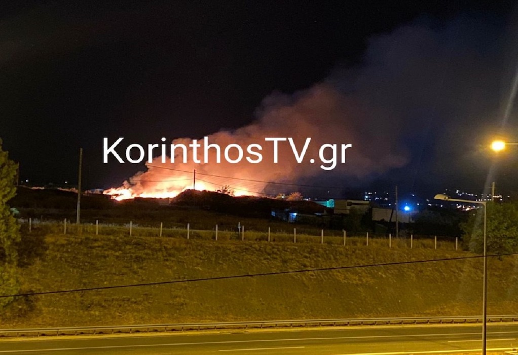 Φωτιά στην Κόρινθο στην περιοχή πεδίο βολής (VIDEO)