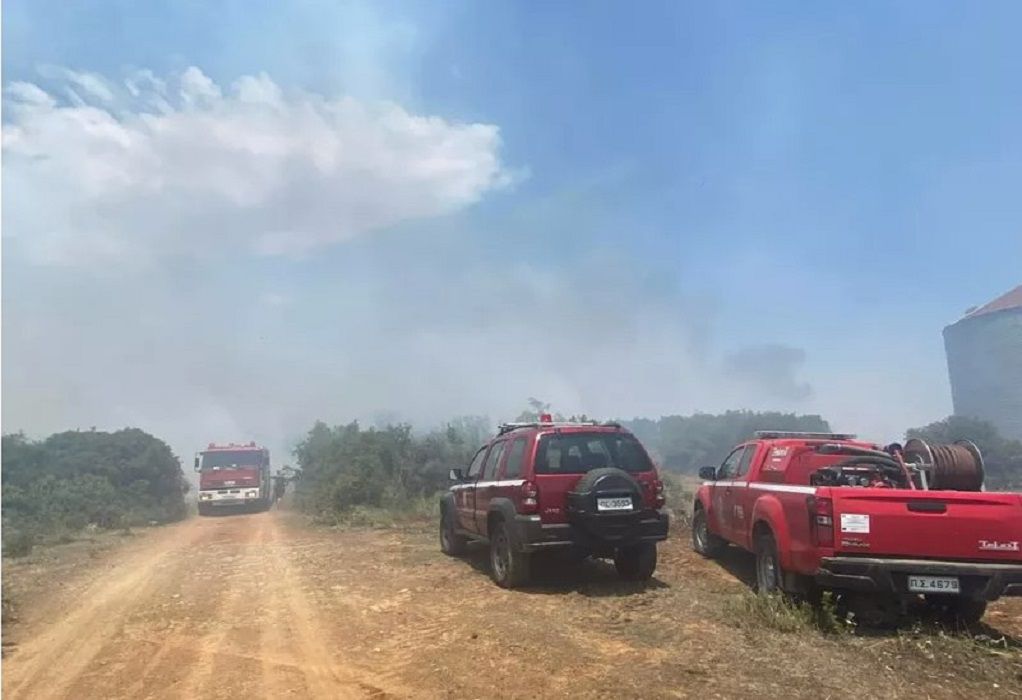 Ροδόπη: Φωτιά σε αγροτική περιοχή κοντά στην Ξυλαγανή (ΦΩΤΟ-VIDEO)