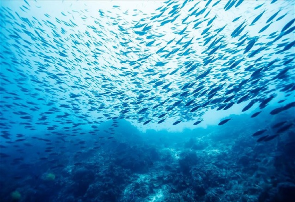 ΟΗΕ: Συμφωνία για την προστασία των ωκεανών