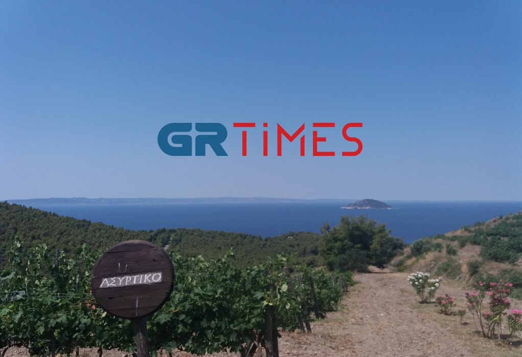 Ελληνικοί οίνοι ΠΟΠ και ΠΓΕ: Διεκδικώντας μια θέση στον παγκόσμιο οινικό χάρτη