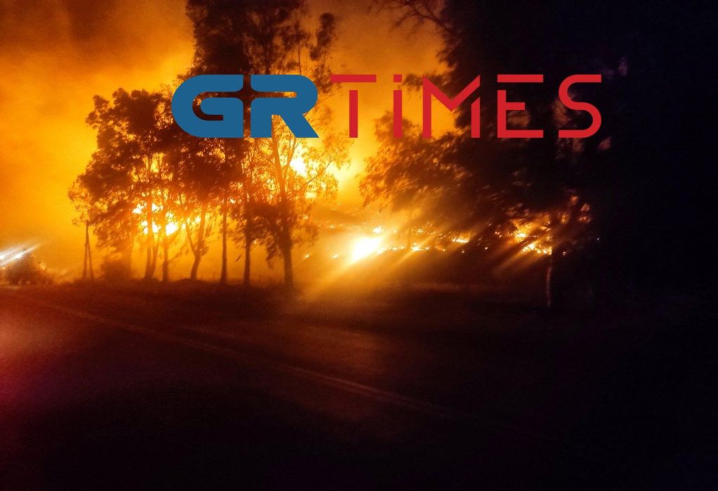 Ολονύχτια μάχη με τις φλόγες στην Ιτέα -Σε εξέλιξη η φωτιά στο Κρανίδι (VIDEO)