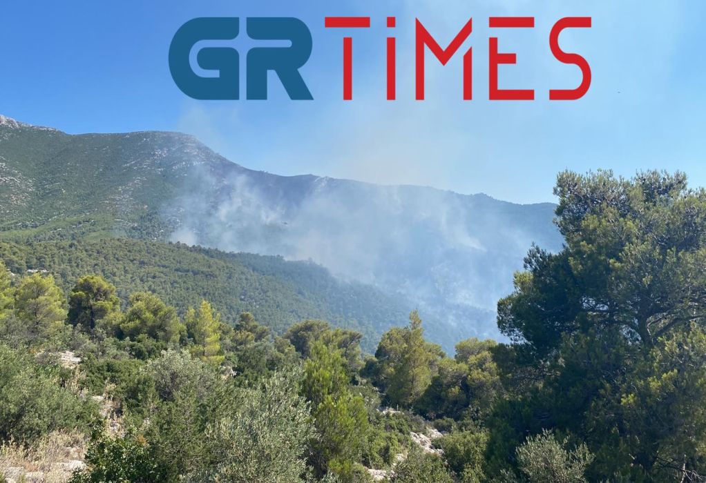 Φωτιά στο Πόρτο Γερμενό: Προσαγωγή υπόπτου για εμπρησμό (VIDEO)