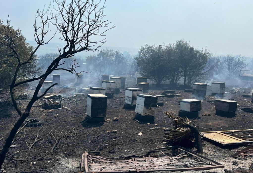 Έβρος: Ολονύκτια επιφυλακή για τη φωτιά στο Αρίστηνο-Κάηκαν μελίσσια, κινδύνεψε το χωριό (ΦΩΤΟ)