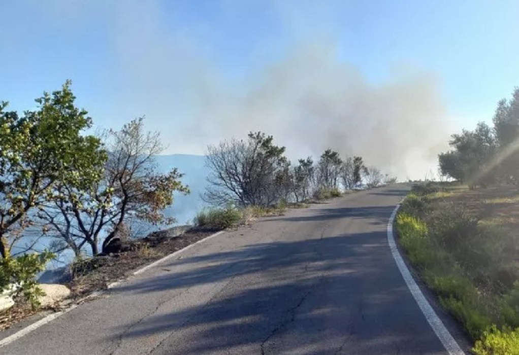 Τρίπολη: Υπό έλεγχο η φωτιά στην περιοχή Ρούτσι (VIDEO)