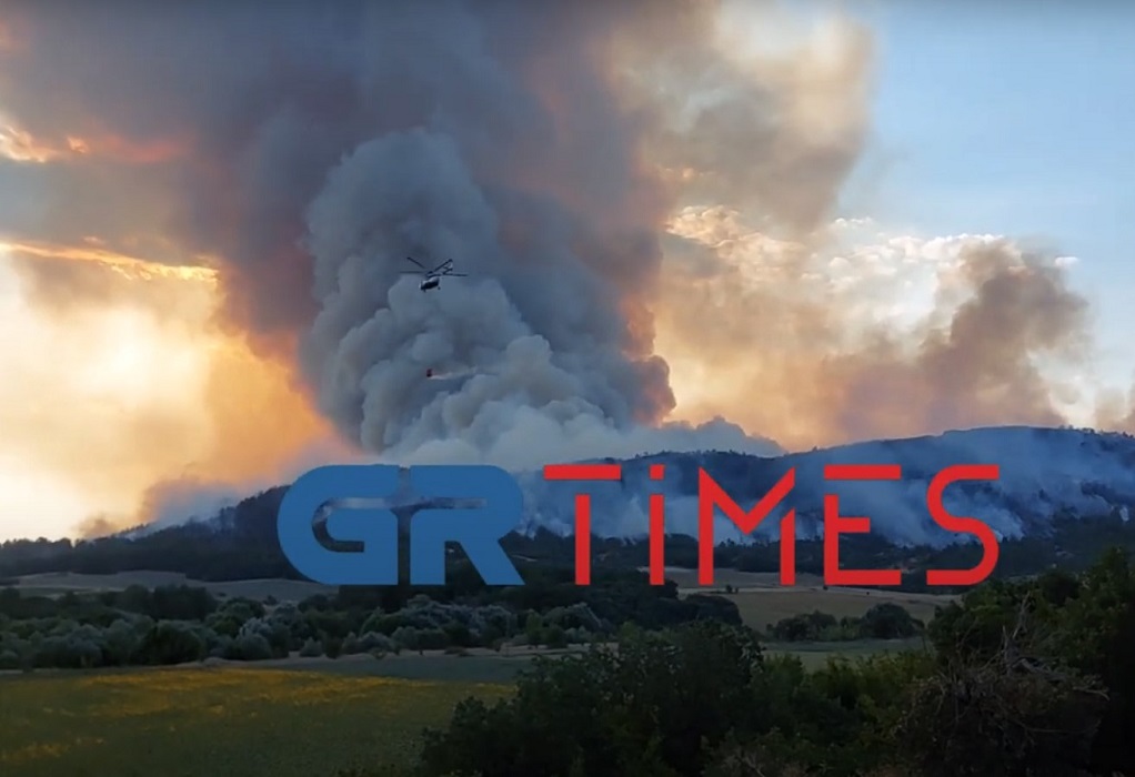 Πυρκαγιά στον Έβρο: Στη «μάχη» πυροσβεστικές δυνάμεις από Κ. Μακεδονία (ΦΩΤΟ-VIDEO)