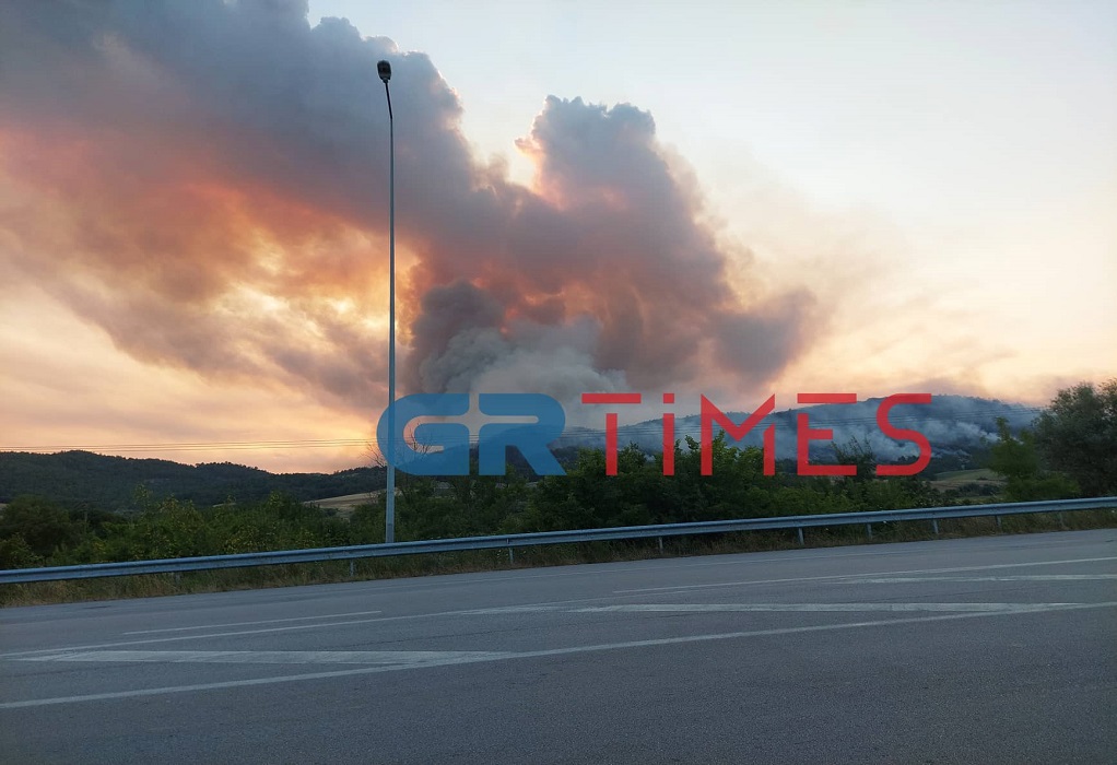 Εκτός ελέγχου η πυρκαγιά στον Έβρο: Μια «ανάσα» από το δάσος της Δαδιάς οι φλόγες – «Κινδύνεψαν πυροσβέστες» (ΦΩΤΟ-VIDEO)