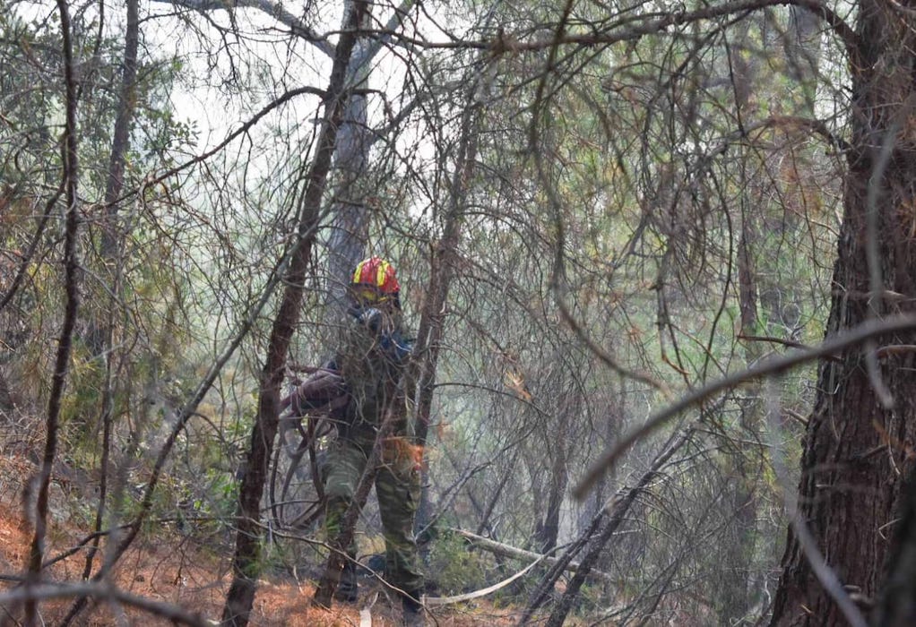 Χαλκιδική: Πυρκαγιά σε ξερά χόρτα στο δρόμο προς τη Σάνη