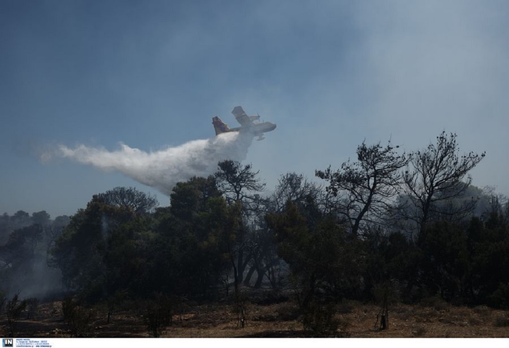 Ενισχύθηκαν οι δυνάμεις που επιχειρούν στην πυρκαγιά στη Χίο