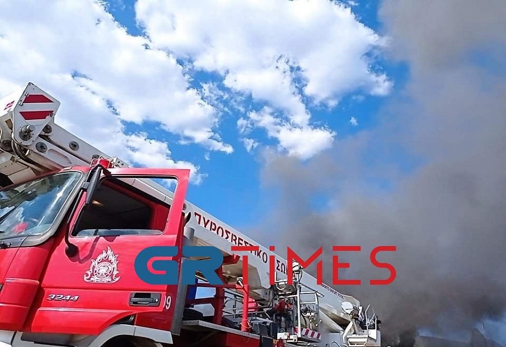 Φωτιά σε κυπαρίσσια στην Περιφερειακή Οδό Θεσσαλονίκης – Πολλαπλές κλήσεις στην ΠΥ από οδηγούς