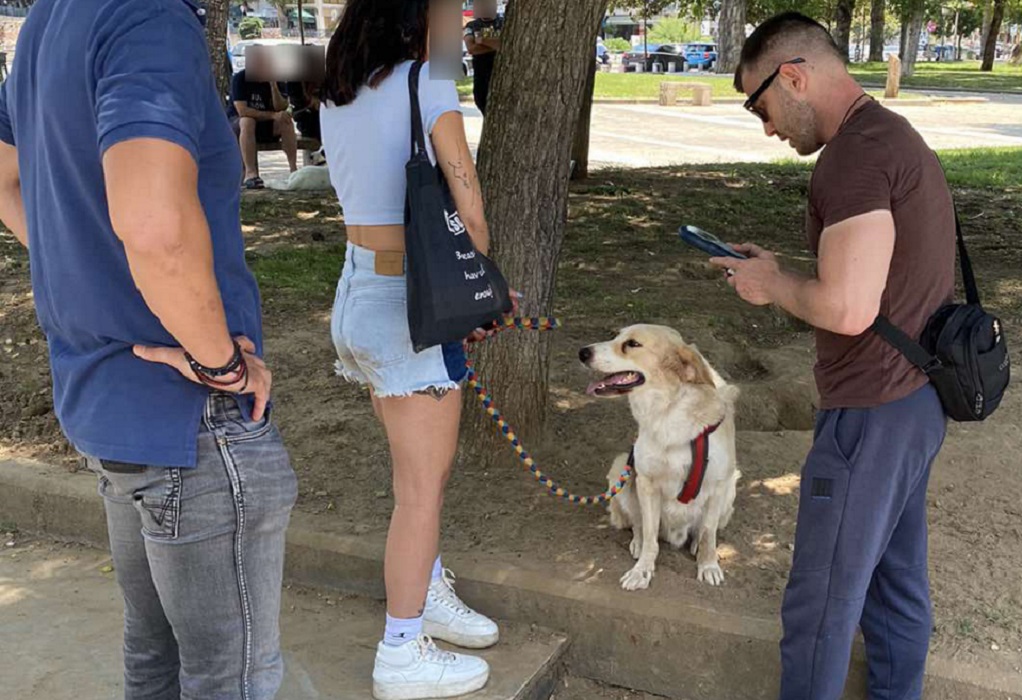 Θεσσαλονίκη: Πρόστιμα ύψους 300 ευρώ σε 12 ιδιοκτήτες σκύλων (ΦΩΤΟ) 