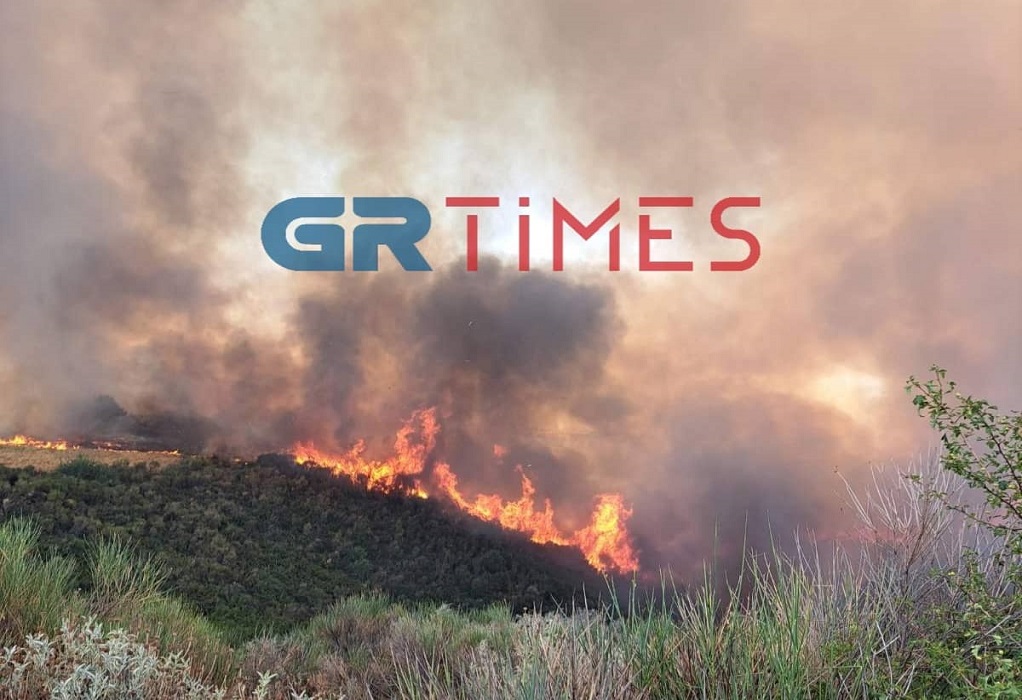 Φωτιά στην Ηλεία: Στα Κρέστενα σήμερα ο Τάκης Θεοδωρικάκος