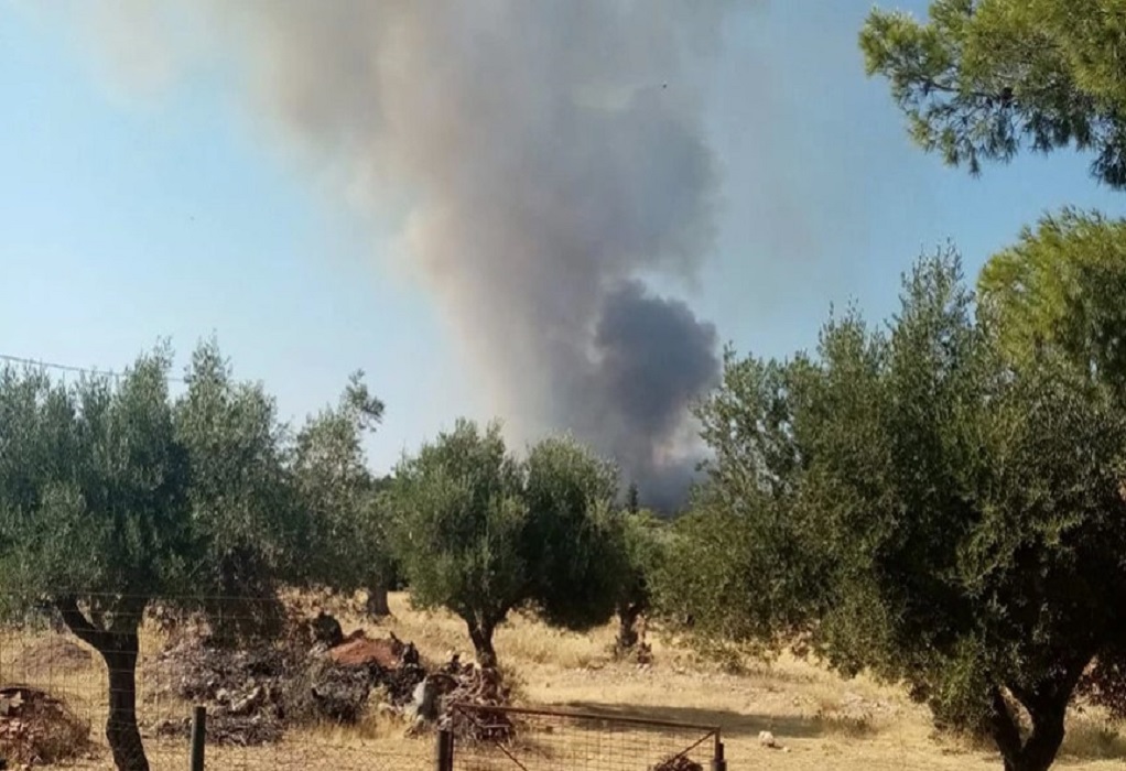 Kαλύτερη εικόνα για την πυρκαγιά στη Μάνδρα – Οριοθετήθηκε η φωτιά στο Χαϊδάρι
