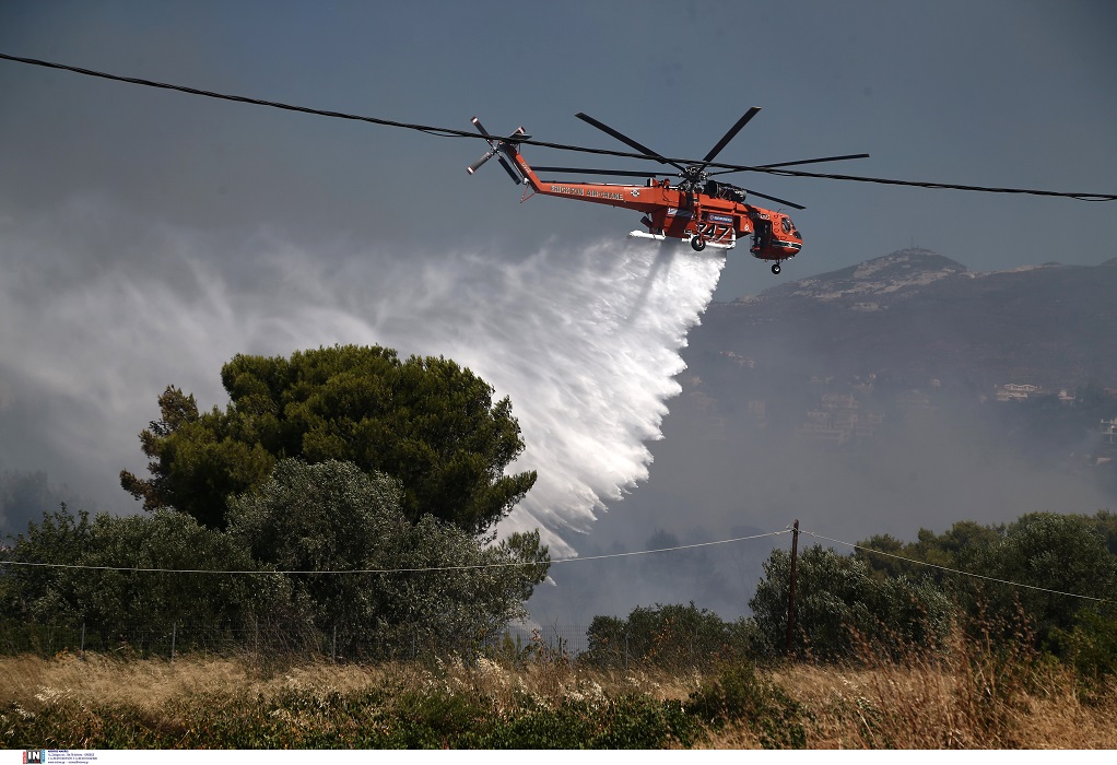 Ορεινή Σερρών: Φωτιά σε δασική έκταση – Επιστρατεύτηκε ελικόπτερο 