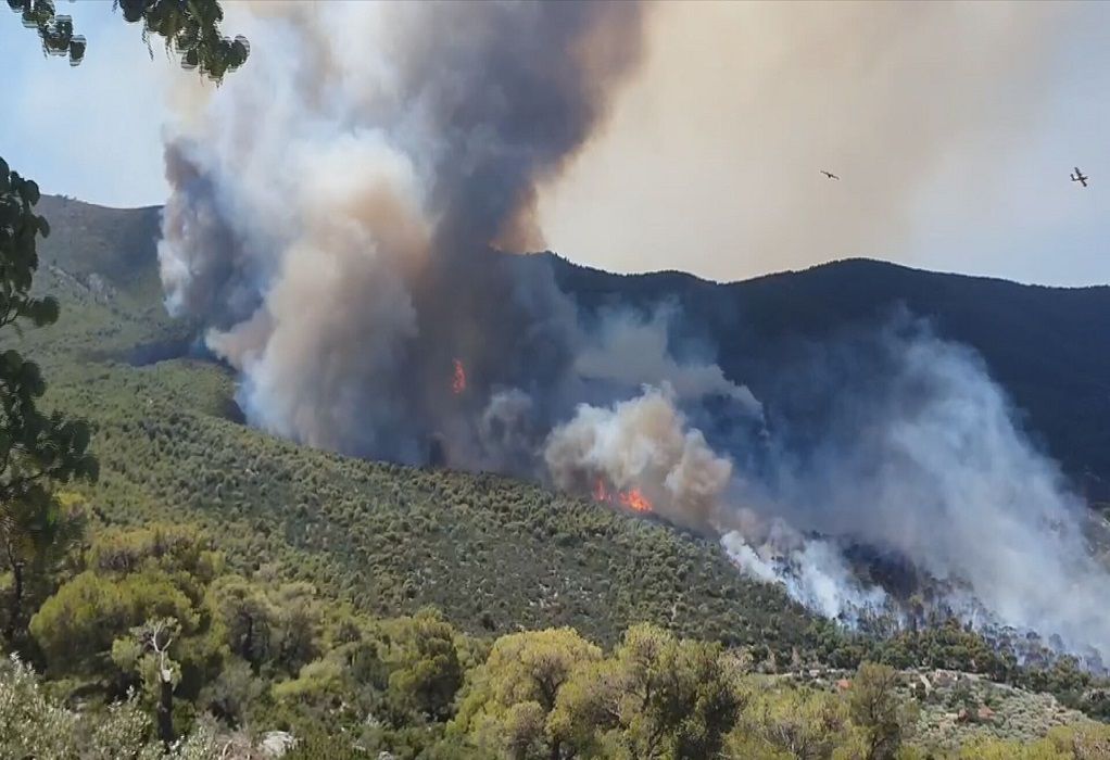 Μπαράζ πυρκαγιών τις τελευταίες ώρες – Μάχη με τις φλόγες σε Πόρτο Γερμενό, Άραξο και Κόρινθο (VIDEO)