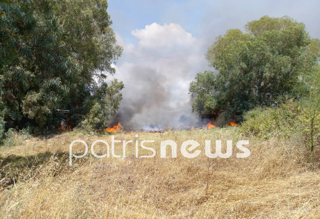 Φωτιά σε δύο μέτωπα στην Ηλεία – Επιχειρούν εναέρια μέσα (ΦΩΤΟ-VIDEO)