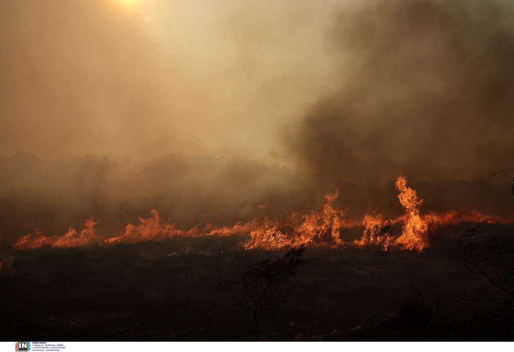 Λαγκαδάς: Φωτιά έξω από το χωριό Ηράκλειο – Επί τόπου η Πυροσβεστική