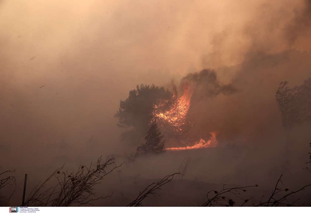 Υψηλός κίνδυνος πυρκαγιάς σήμερα σε Θεσσαλονίκη και Χαλκιδική (ΧΑΡΤΗΣ)