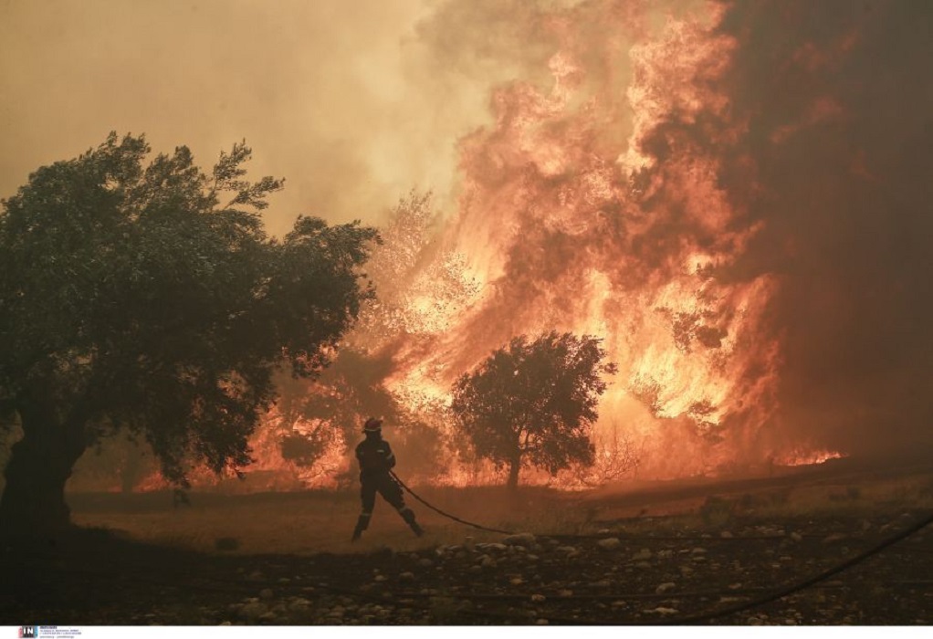 Υψηλός κίνδυνος πυρκαγιάς για σήμερα σε τρεις Περιφέρειες της χώρας (ΧΑΡΤΗΣ)