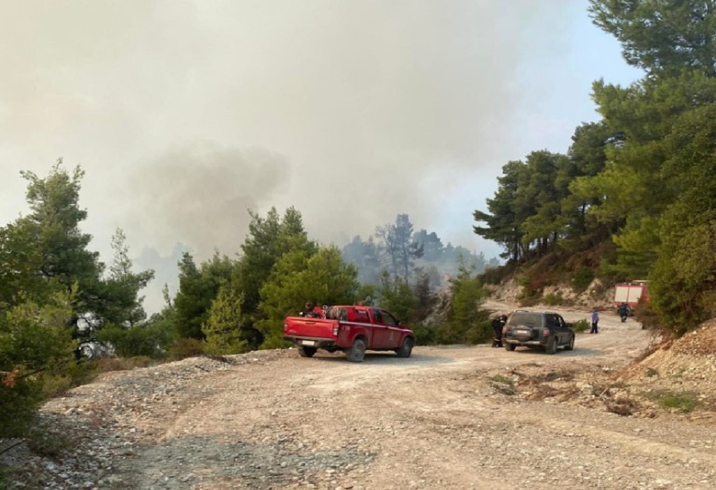 Χαλκιδική: Σε ύφεση οι πυρκαγιές στην Κασσάνδρα – Παραμένει στο σημείο η Πυροσβεστική