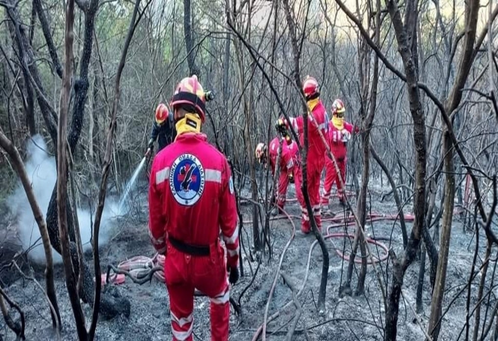 Πυρκαγιά στη Θάσο: Οι προσπάθειες της Ελληνικής Ομάδας Διάσωσης από το μέτωπο (ΦΩΤΟ) 