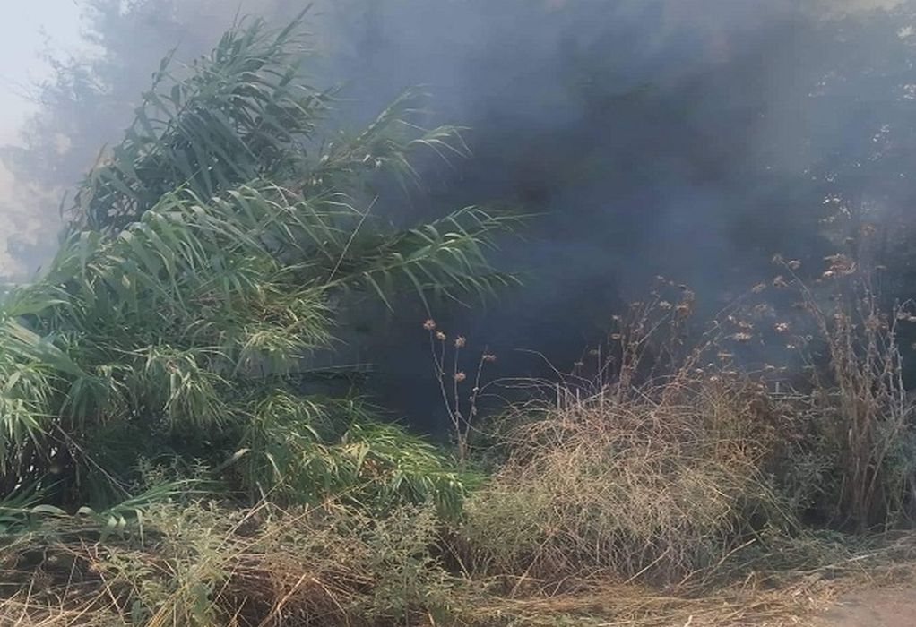 Χαλκιδική: Πρόστιμο σε άνδρα για φωτιά σε αγροτική έκταση στον Άγιο Μάμα