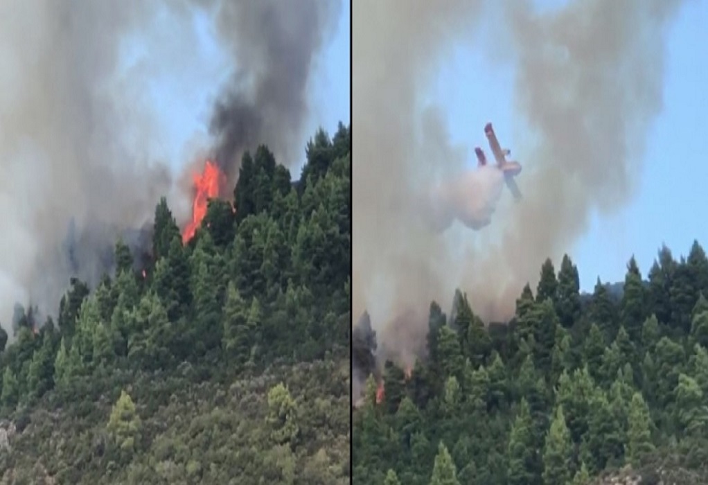 Οριοθετήθηκε η πυρκαγιά στο Άγιο Όρος – Παραμένουν στο σημείο οι πυροσβεστικές δυνάμεις (ΦΩΤΟ-VIDEO)