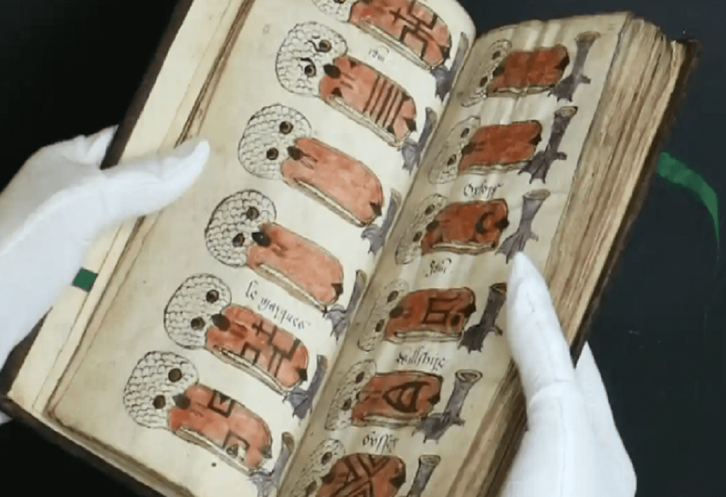 Δημοπρατείται σπάνιο ημερολόγιο για κύκνους του 16ου αιώνα