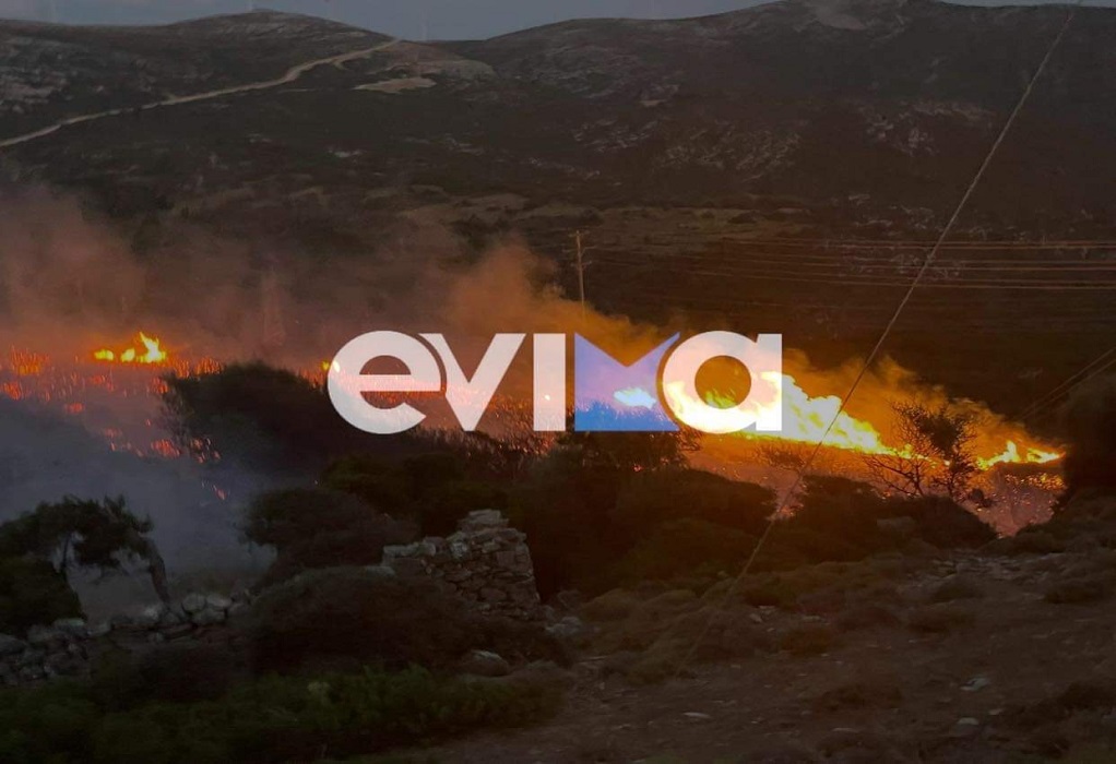 Νότια Εύβοια: Φωτιά στην περιοχή των Ραπταίων