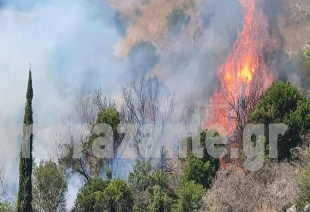Zάκυνθος: Φωτιά σε δασική έκταση – Μεγάλη κινητοποίηση της Πυροσβεστικής (ΦΩΤΟ) 