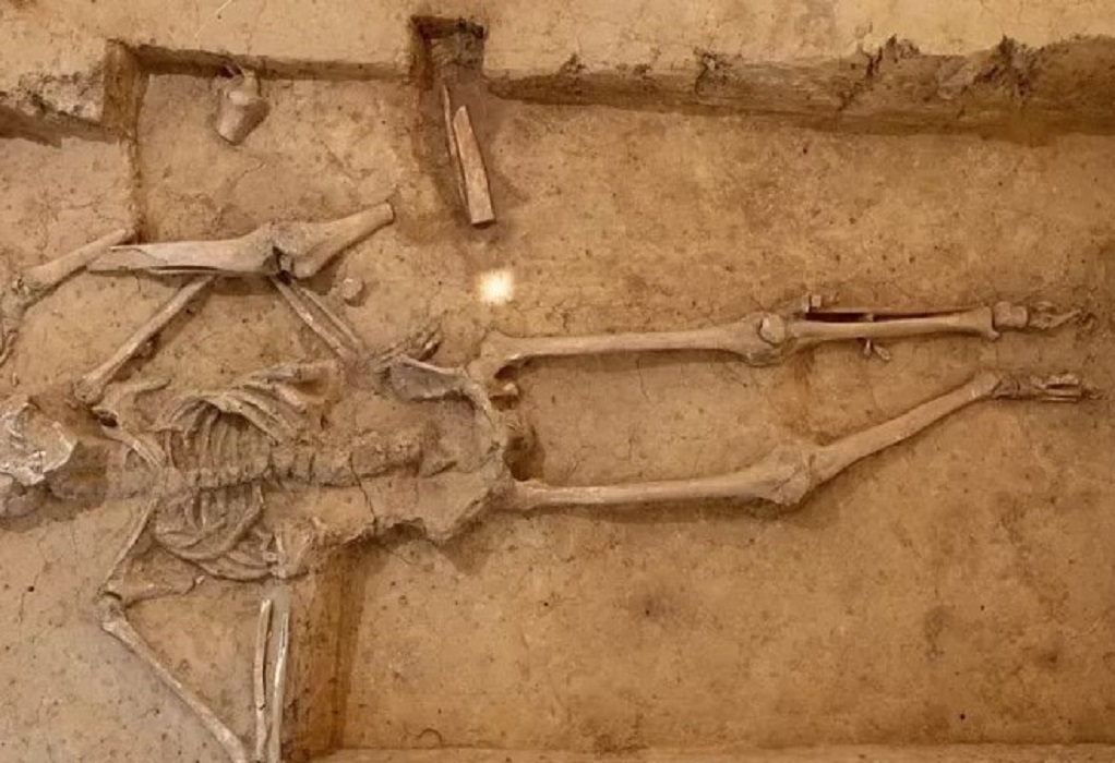 Μάχη του Βατερλό: Ιστορικοί έλυσαν το μυστήριο με τους σκελετούς των νεκρών